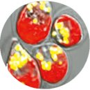 연구단지주유소 이미지