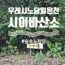 산소 | 우레시노 당일온천 추천, 숲 속 노천탕 시이바 산소 Shiiba sanso 후기, 주차, 가격