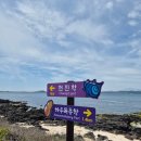 우도주차장 | 산호해수욕장 우도 유채꽃 명소 서빈백사 사진찍기 좋은 곳