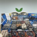 GS25 강릉문화점 | [까르까르수업]강릉 이마트 문화센터 까르까르 후기