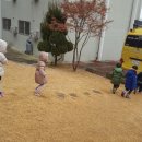 성도어린이집 이미지