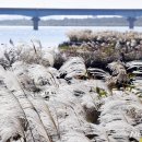 낙동강변26 이미지