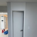 진성투토펠리체 이미지