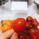 은상농장 이미지