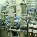 글로벌 송림 이미지