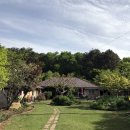 황금모텔 민박 이미지