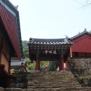 곡성-215 이미지