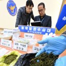 남부청과 이미지