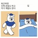 케이짐 이미지