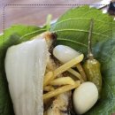 금빛장어 이미지