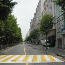 부흥북로 이미지