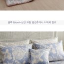다꼬르 부원