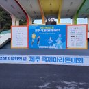 2023 평화의 섬 제주 국제마라톤대회 자원봉사 활동(2023. 4. 30(일)) 이미지