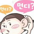 연덴탈 네이버블로그