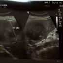 우리성내과의원 이미지