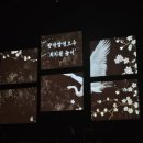 최치원아트