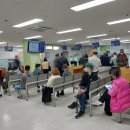 신다문화행정사 이미지