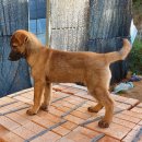 내눈에안경 이미지