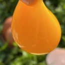 정훈농장 이미지