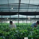 영란농장 이미지