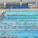 하비엘럭스 이미지