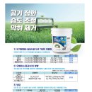 자연페인트