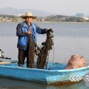 잠홍 이미지