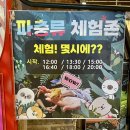 아멘농장 | [송도/테이블에이&amp;로우켓] 인천 아이와 가볼만한 곳, 인천 가족과 가볼만한 곳. 송도 실내 동물원