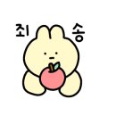 제주 만개