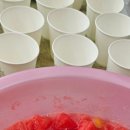 쌍용합기도 이미지