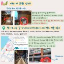 파라다이스여행사 - 서대문구 신촌로 59 | 공항샌딩가능 코타키나발루 마사지샵추천, 파라다이스마사지 솔직후기