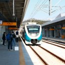 울진시장 1 이미지