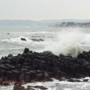 양남주상절리 이미지