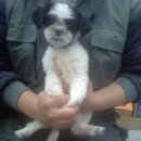 하랑하다 이미지