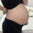 민희농장 | 34-37w ➰ 벌써 여름이 코앞이라니 !