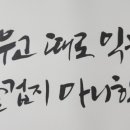꽃붓캘리 이미지