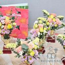 행복인문학 테라피 | 노스애르사애. 인생곡선. 생화트로피 꽃트로피 프롬나드 그림책원예테라피