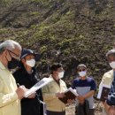 승리부동산 이미지