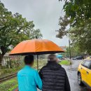 (주)예스투어 | 대만 예스지 예스진지 택시투어 대만놀러왕 추천, 4인 10시간 택시 이용 (내돈내산)