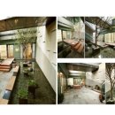 팔레드시즈 이미지