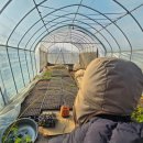 새봄농장(3) 이미지