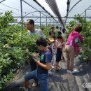 금강모치마을 이미지