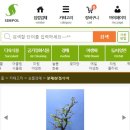 자평원