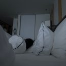 (주) 씨푸드락 이미지