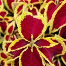 단위농협사거리(농협앞) 이미지