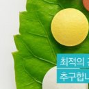 노코딩 팜 이미지