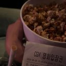Elimental | [영화리뷰] 엘리멘탈 (Elimental, 2023) 후기 &lt;스포주의&gt;