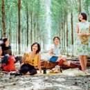 방은농장 이미지