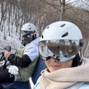 강원하이렌탈 이미지