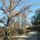 서원목장2 이미지